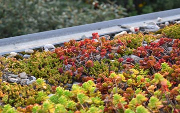 the cost of Doe Green green roof installation