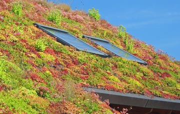 Doe Green living roof systems